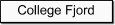 College Fjord